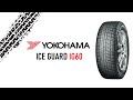 Видео - Yokohama Ice Guard IG60 // ОБЗОР ЗИМНЕЙ ШИНЫ