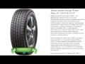 Видео - Шина зимняя Dunlop Winter Maxx 01 195/65 R15 91T