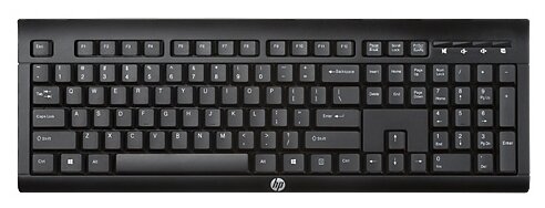 Клавиатура HP K2500 (E5E78AA) Black USB - фото 1
