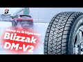 Видео - Обзор шин Bridgestone Blizzak DM-V2 (Народный тест-драйв)