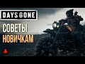 Видео - СОВЕТЫ НОВИЧКАМ Days Gone