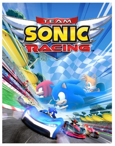 Team Sonic Racing - фото 4