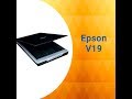 Видео - Scanner Epson Modelo V19