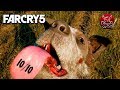 Видео - Far Cry 5 - ВЕДЬМАК ОТ МИРА UBISOFT [Обзор]