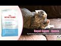 Видео - Сухой корм для беременных и кормящих кошек · Royal Canin Queen