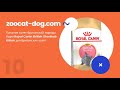 Видео - Обзор 10. Питание котят британской породы. Корм Royal Canin British Kitten для британских котят