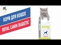 Видео - Корм для кошек Royal Canin Diabetic | Обзор корма Royal Canin Diabetic