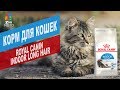 Видео - Корм для кошек ROYAL CANIN INDOOR LONG HAIR | Обзор корма для кошек ROYAL CANIN INDOOR LONG HAIR