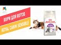 Видео - Корм для котов ROYAL CANIN SENSIBLE | Обзор корма для котов ROYAL CANIN SENSIBLE