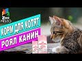 Видео - Корм для котят Royal Canin Mother and Babycat | Обзор корма для котов | Royal Canin review