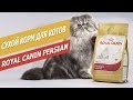 Видео - Сухой корм Royal Canin Persian для кошек | Обзор сухого корма для кошек  |  Overview of dry food