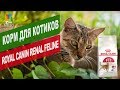 Видео - Корм для котиков Royal Canin Fit | Обзор корма для котиков Royal Canin Fit