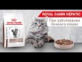 Видео - Сухой корм Royal Canin Hepatic при заболевании печени у кошек