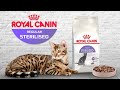 Видео - Сухой корм Royal Canin Sterilised 37 для стерилизованных кошек