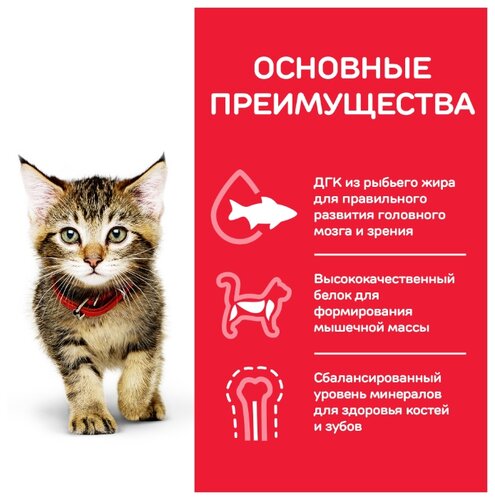 Корм для котят Hill's Science Plan с тунцом - фото 4