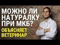 Видео - Мочекаменная болезнь у котов чем кормить? Польза натуралки. Отвечает ветеринар Дмитрий Русаков.