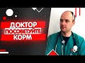 Видео - Какой корм для кошки я советую