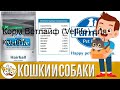 Видео - Корм Ветлайф (Vetlife) для кошек