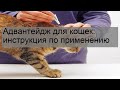 Видео - Адвантейдж для кошек: инструкция по применению