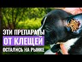 Видео - Осторожно, КЛЕЩИ! КАК ЗАЩИТИТЬ ПИТОМЦА? Обзор препаратов от клещей в 2023 году