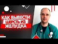 Видео - Шерсть в желудке у кошки: как вывести, лечение, профилактика