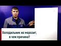 Видео - Холодильник не морозит? В чем причина? НАДЕЖДА-СЕРВИС Красноярск т. +7 (923) 020 05-20