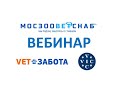 Видео - Особенности анестезии и анальгезии у грызунов и кроликов