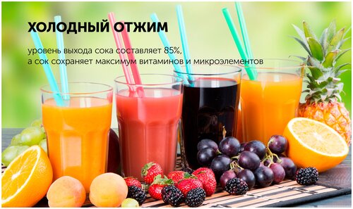 Соковыжималка шнековая Polaris PSJ 0602 - фото 3
