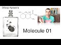 Видео - Molecule 01- Обзор Аромата