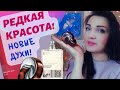 Видео - 💎 Парфюмерные сокровища: Omnia Bvlgari и Escentric 01 Story Edition 2021❤️ Любофф  МОЙ ОТЗЫВ!