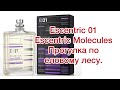 Видео - Escentric Molecules Escentric 01. Прогулка в еловом лесу.