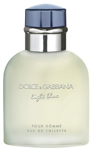 Туалетная вода DOLCE & GABBANA Light Blue pour Homme - фото 1