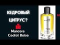 Видео - Мансера Cedrat Boise. Обзор на природе