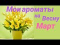 Видео - МОИ АРОМАТЫ НА ВЕСНУ | ФАВОРИТЫ МАРТА | ЛЮКС, НИША И ОЧЕНЬ БЮДЖЕТНЫЕ ПАРФЮМЫ | ОБЗОР АРОМАТОВ