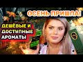 Видео - КРУТЫЕ АРОМАТЫ НА ОСЕНЬ ДЛЯ МУЖЧИН И ЖЕНЩИН