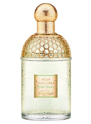 Guerlain Aqua Allegoria Herba Fresca - фото 1