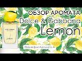 Видео - Обзор и отзывы об аромате Dolce &amp; Gabbana Lemon от Духи.рф | Бенефис аромата