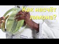 Видео - Chanel Chance Eau Fraiche_Лучший аромат на лето! #channel