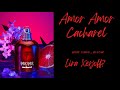 Видео - Волнующие факты о Amor Amor Cacharel