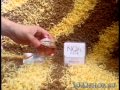 Видео - Туалетная вода Cacharel noa fleur 100ml обзор