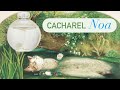 Видео - Noa Cacharel🤍 обзор и сравнение с аналогом👀. Моя нежная пудра☁️🤍🩶.