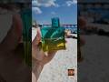 Видео - Mandarina Duck Vida Loca for Him AT THE BEACH #Shorts #fragrance