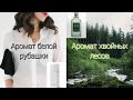 Видео - Парфюмерные ПОКУПКИ: Angel Schlesser Femme, Acqua Colonia Intense Wakening Woods of Scandinavia