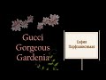 Видео - Gucci Gorgeous Gardenia  - парфюмерный обзор  покупка парфюмерии новые парфюмы gucci gardenia