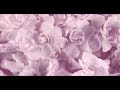 Видео - Gucci Flora Gorgeous Gardenia