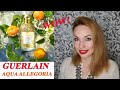 Видео - AQUA ALLEGORIA MANDARINE BASILIC GUERLAIN! 💖