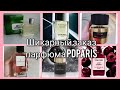 Видео - 😍Обожаю! Любимый парфюм❤️|Tiziana Terenzi, Lacoste, Dolce and Gabbana, Tom Ford, Chanel #pdparis