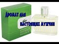 Видео - Отдушка Lacoste Essential, LACOSTE // Аромат духов для мужчины