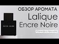 Видео - Обзор и отзывы о Lalique Encre Noire (Лалик Энкре Нуар) от Духи.рф | Бенефис аромата