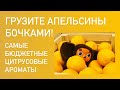 Видео - САМЫЕ БЮДЖЕТНЫЕ ЦИТРУСОВЫЕ АРОМАТЫ в коллекции. Находки и промахи. Парфюмы на жару.